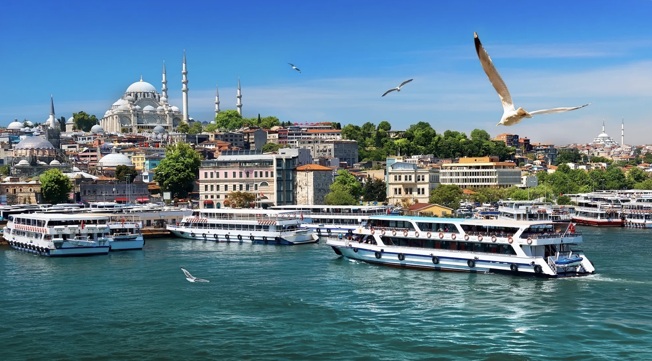 The Best Istanbul Tours
